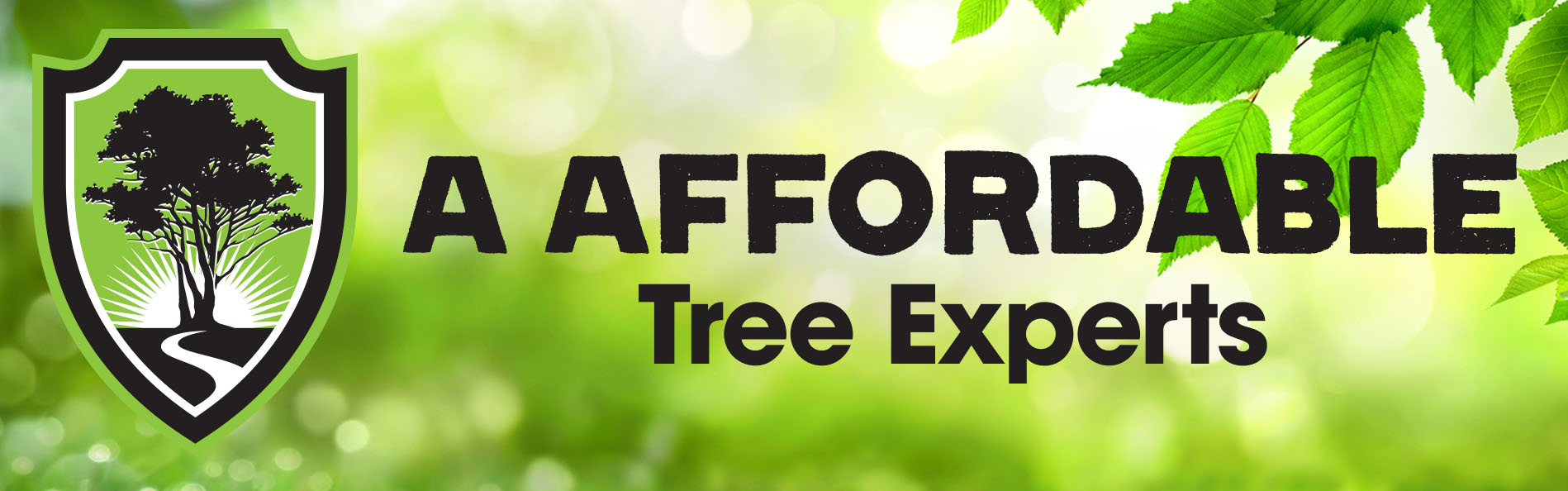 A Affordable Tree Experts About