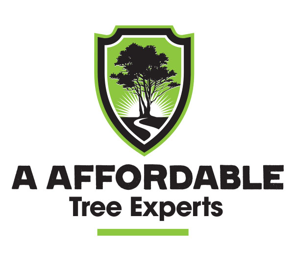 Tree Company Service In Bronx